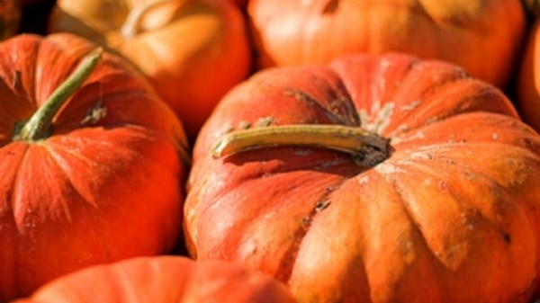Verrès è...la zucca, dall'orto alla tavola