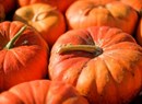 Pumpkin Festival… from the garden to the table
