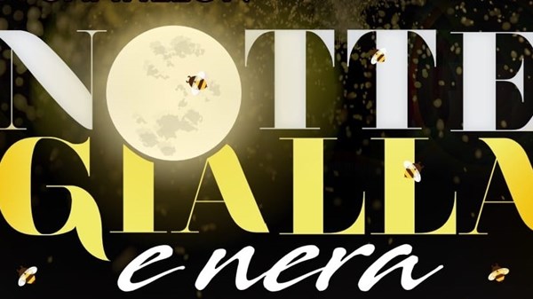 Nuit Jaune et Noire