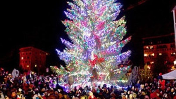 Accensione dell'albero di Natale