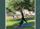 Yoga au parc