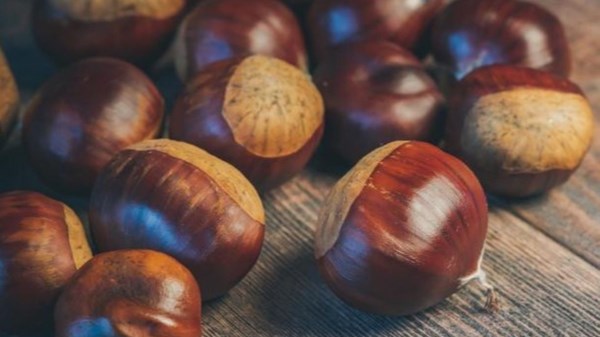 Autumn chestnuts