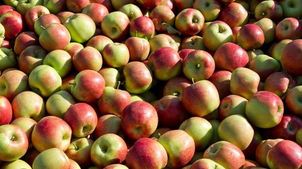 Mele Vallée - Mostra mercato sulle mele