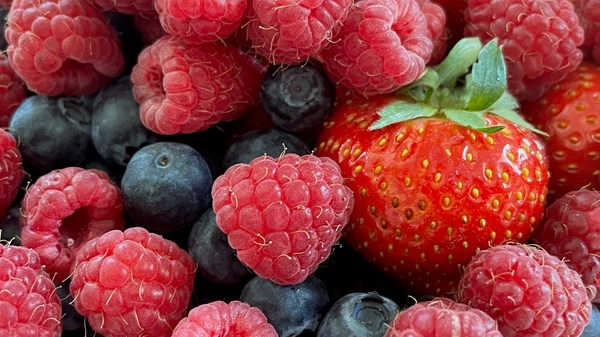 Fête des Petits fruits de La Magdeleine