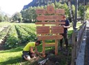 Samstag Märt - Mercato dei piccoli produttori della Valle del Lys