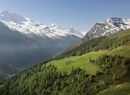 Scuola di montagna - il mio albero maestro 