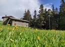 Mercatino nel bosco di Lavesé