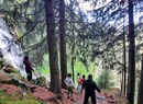 Meditazione e pratica in bosco - Yoga Monterosa