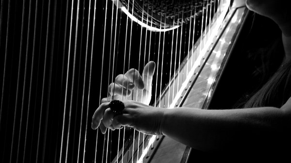 Estate Musicale di Gressoney - "Giovani talenti virtuosi"