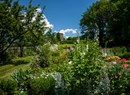 Guided tour at Jardin des Anciens Remèdes
