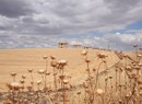 La Via Appia, Esposizione fotografica di Andrea Frazzetta 