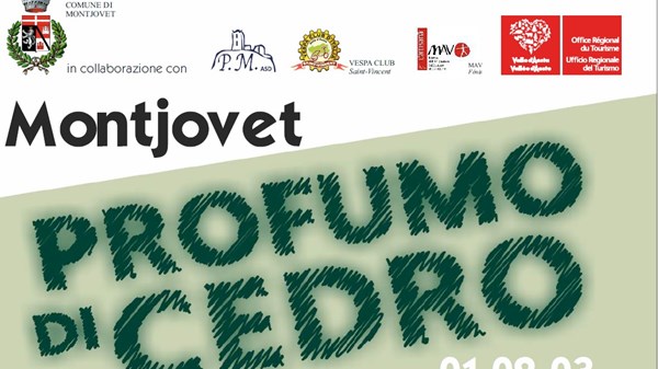 Profumo di Cedro - Sculture con motosega