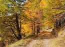 I magici colori dell'autunno nell'Alta Valle del Gran San Bernardo