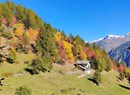 Trekking photographique pour découvrir les couleurs de l'automne