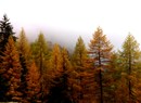 Hike in Nature: "du blé au pain" 