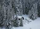 Une forêt enchantée – Tracce Apine