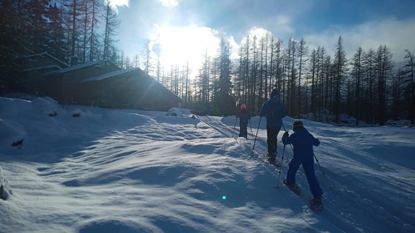 Snowshoeing in the forest, following the tracks of the animals.