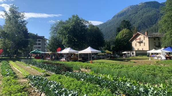 Samstag Märt - Local market of the Lys Valley typical products