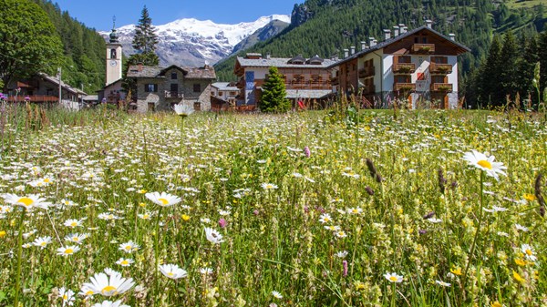Quattro passi e quattro chiacchiere con il Sindaco