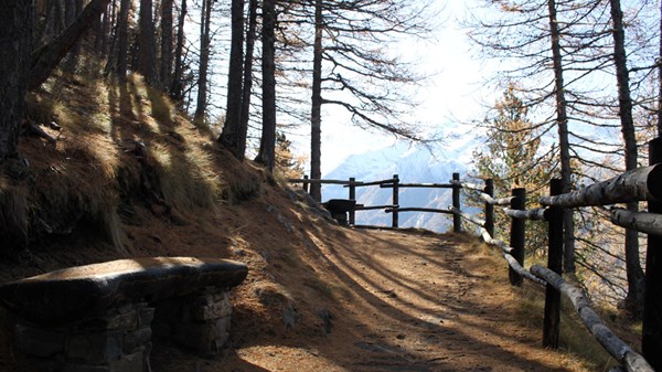 Cogne Outdoor - Sentier Nature