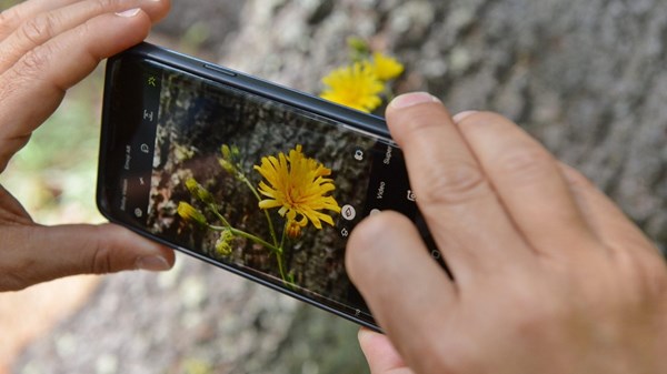 Cogne Outdoor - Fotografare la natura