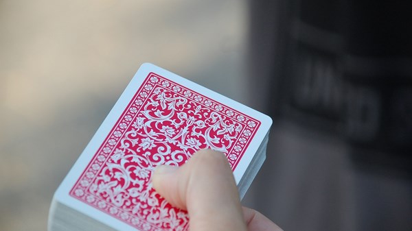 Les échecs, quelle passion!