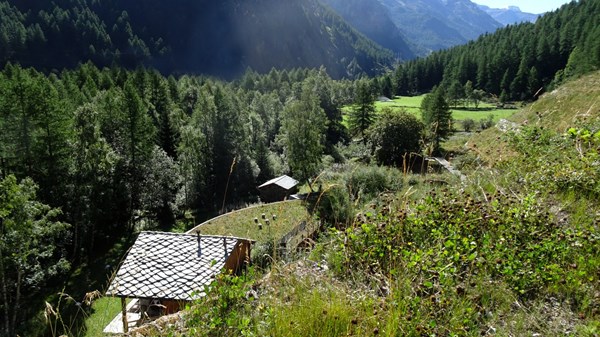 Paesaggi sonori alpini