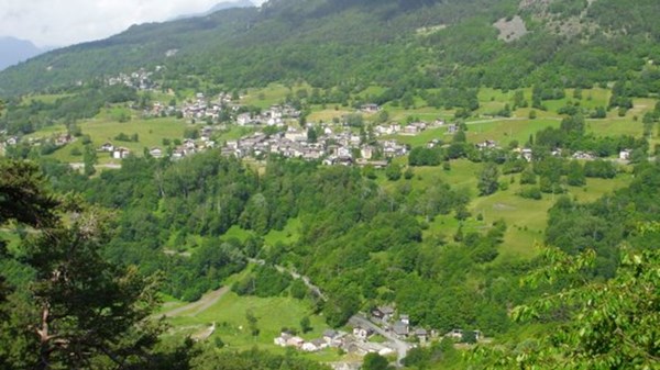 Cinéma en Plein Air: Flow - Un Monde à Sauver