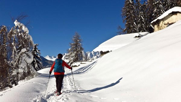 Randonnée en raquettes au Col de Bard