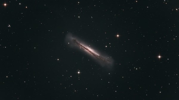 Visite guidate notturne in Osservatorio Astronomico 