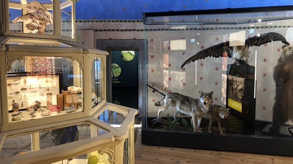  Museo e dintorni – Animali tra leggende e realtà