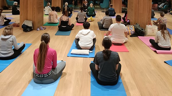  Yoga al Museo