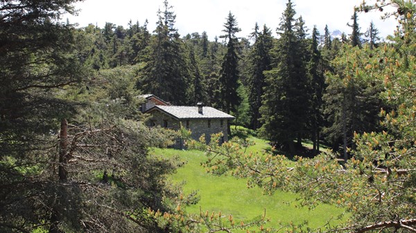 Natural Cross Camp