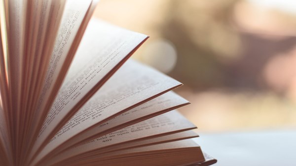 Cheese and reading