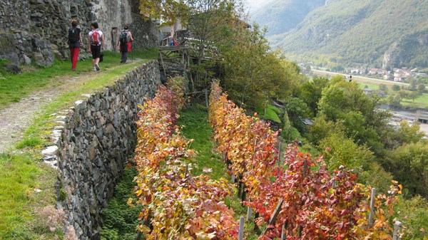 Cultura in cammino - da Châtillon a Montjovet