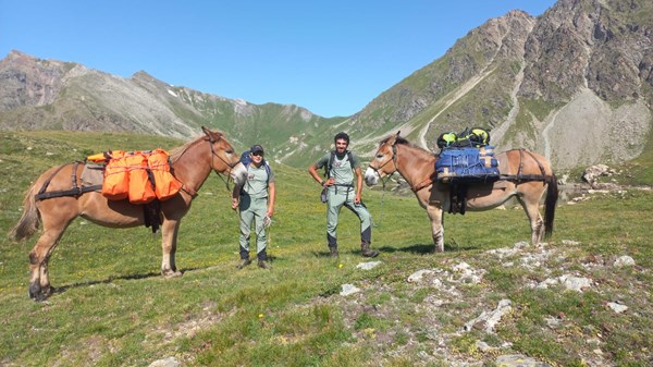 Rifugi e muli