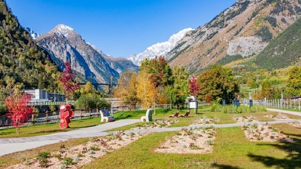 Foreste di carta. Esplorazioni tra albi illustrati e natura
