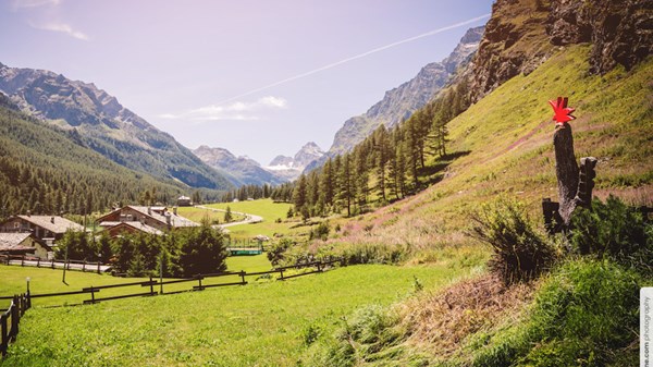 Territorio, uomo, ambiente - Laboratori "Rimedi della montagna"