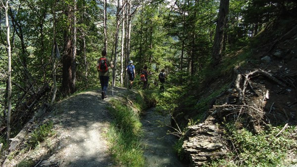Strolling along the ru of the upper valley of the Great Saint Bernard and Valpelline