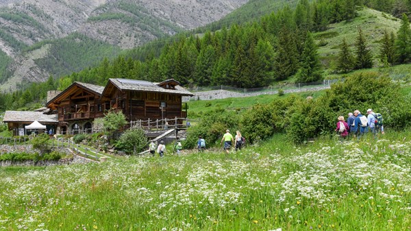 Cogne Outdoor - Entre forêts et villages