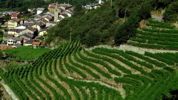 BorghiAmo 
