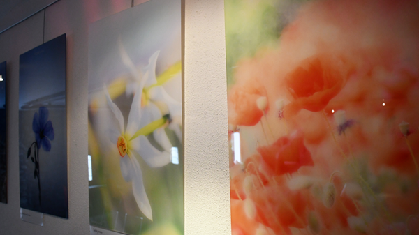 Mostra fotografica di Rosella Junod