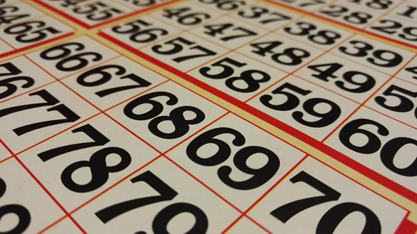 RINVIATO - Bingo