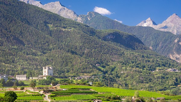 Storie di uomini e di vini - Le notti del Vino