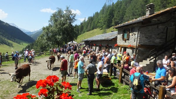 Alpages Ouverts - Ein ganzer Tag auf der Alm