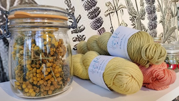 Workshop di tintura naturale della lana con vasi solari insieme a Ilaria Brunet