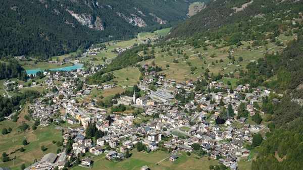 Le erbe di montagna e le loro proprietà curative