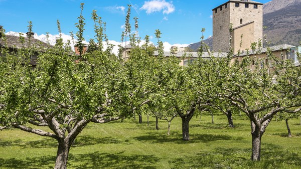 Incontro in mostra - 2050 anni dopo. Le indagini alla Torre dei Balivi e la fondazione di Augusta Praetoria