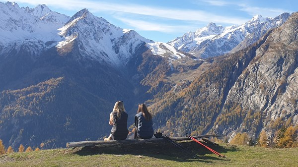 Promenades dans la nature