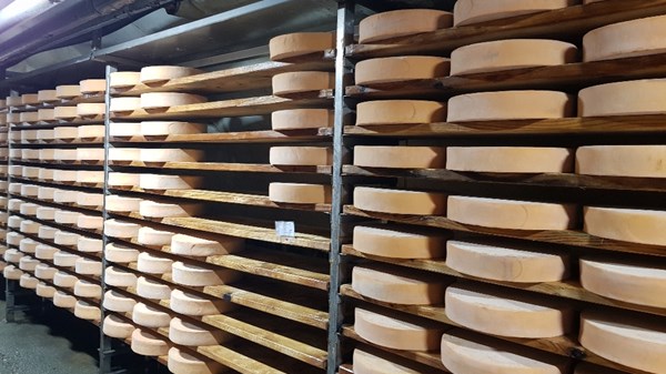 Una miniera di Gusto